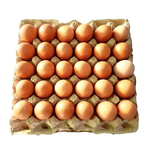 Eggs & Meat
